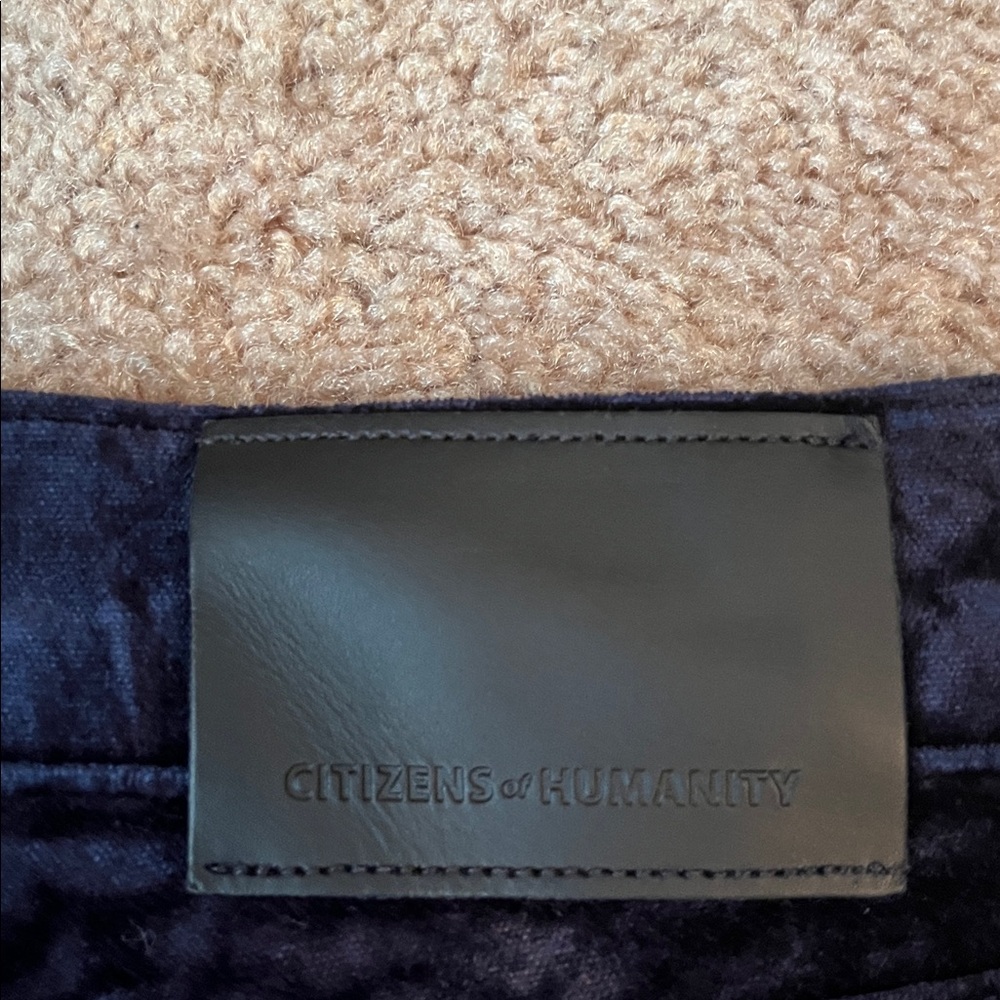 Citizens of Humanity Paloma Velvet Wide Pants - Picture 10 of 15